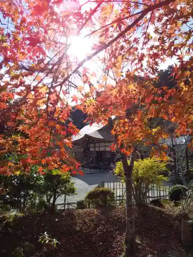 二尊院(京都府)