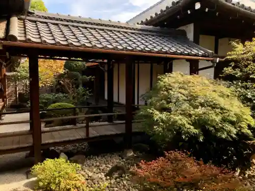 観智院（東寺子院）の庭園