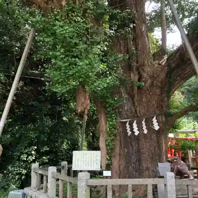 海南神社(神奈川県)