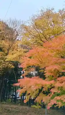 雨引千勝神社(茨城県)