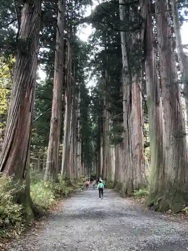 戸隠神社奥社の自然