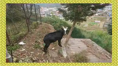 賀茂別雷神社(栃木県)