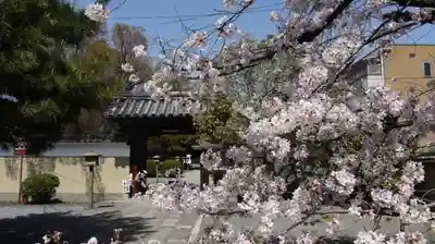 大報恩寺(千本釈迦堂)の山門・神門