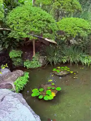 報国寺(神奈川県)