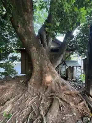 白瀧観音堂(静岡県)