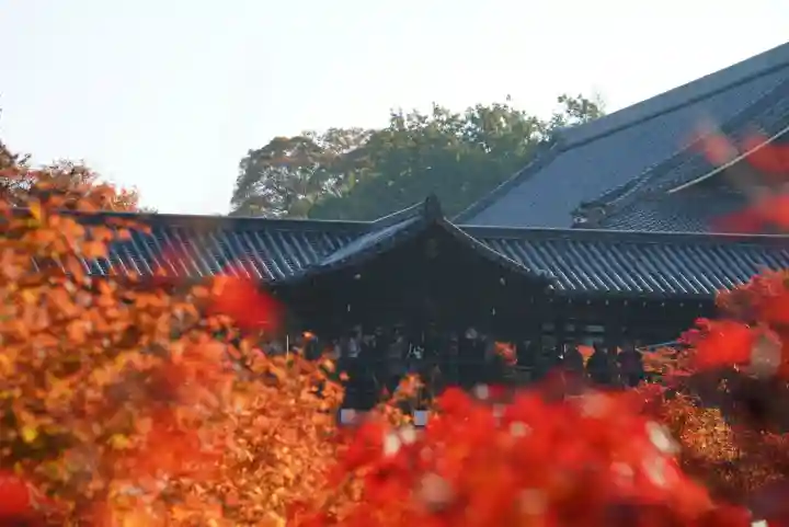 東福禅寺(東福寺)(京都府)