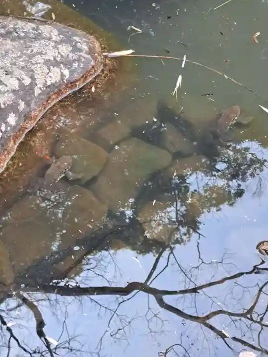 福満寺(千葉県)