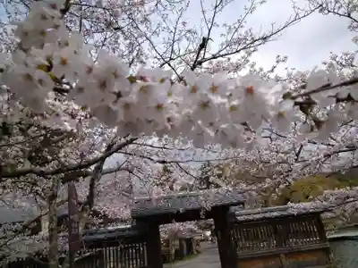 大覚寺(京都府)