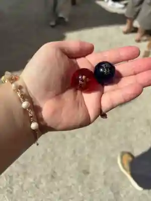 賀茂御祖神社（下鴨神社）(京都府)