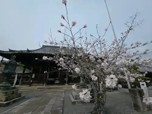 穴太寺の{uncategorized: "未分類", other: "その他", undefined: "問題あり", building: "その他建物", grave: "お墓", sacred_gate: "鳥居", guardian: "狛犬", statue: "像", buddha: "仏像", history: "歴史", nature: "自然", garden: "庭園", animal: "動物", pagoda: "塔", temizu: "手水舎", mountain_gate: "山門・神門", sanctuary: "本殿・本堂", subordinate: "末社・摂社", art: "芸術", scenery: "景色", jizo: "地蔵", ema: "絵馬", goshuin: "御朱印", omikuji: "おみくじ", items: "授与品その他", amulet: "お守り", goshuincho: "御朱印帳", eats: "食事", festival: "お祭り", votive_dance: "神楽", shichigosan: "七五三参", wedding: "結婚式", experience: "体験その他", initially: "初詣", around: "周辺", anti_infection: "感染症対策"}