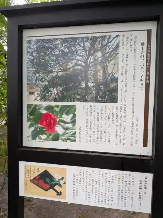 佛山寺(大分県)