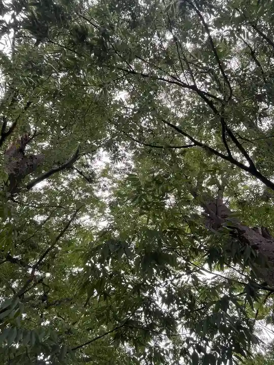 前川神社(埼玉県)