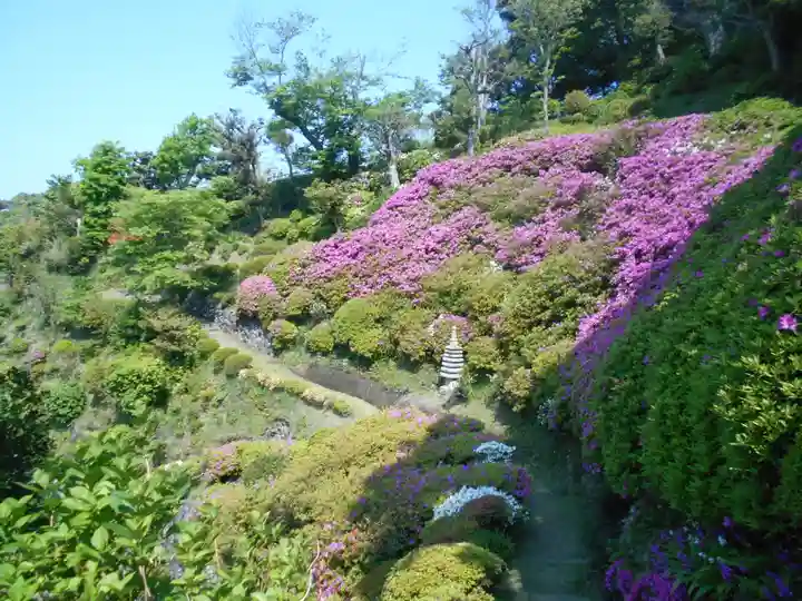 仏行寺(佛行寺)の庭園