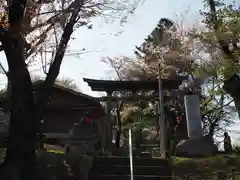 野津田神社の鳥居