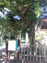 春日神社・井口神社(福井県)