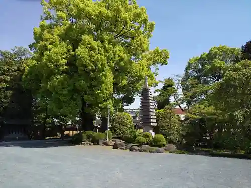 蓮花院の庭園