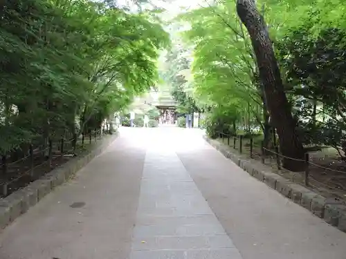 宇治上神社(京都府)