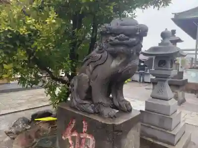 胡録神社の狛犬