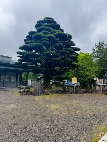 石川護國神社(石川県)