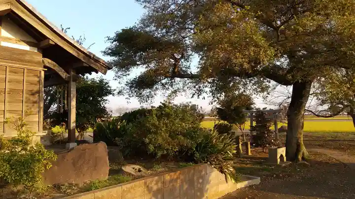 相野谷八幡神社(茨城県)
