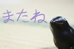 くまくま神社(導きの社 熊野町熊野神社)(東京都)(2021年07月15日(木) 20時12分00秒投稿)