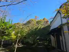 松尾寺(大阪府)