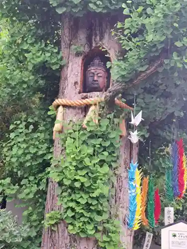 明星院(広島県)