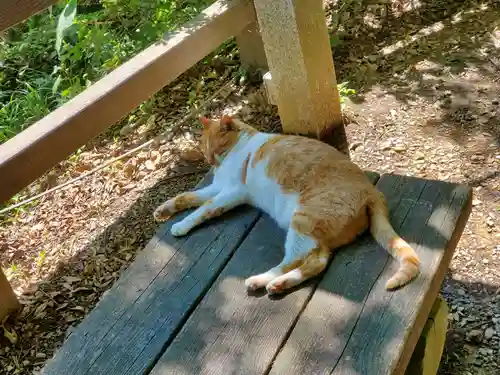 唐澤山神社(栃木県)