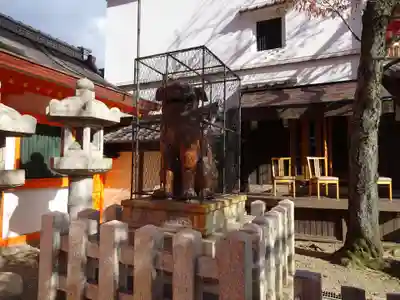 八坂神社(祇園さん)の狛犬