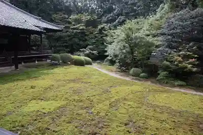 隨心院(随心院)(京都府)