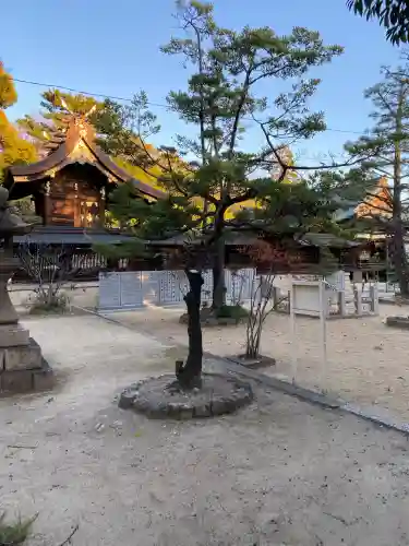 弓弦羽神社(兵庫県)