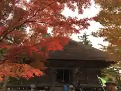 毛越寺(岩手県)