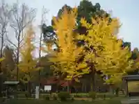 作楽神社の自然