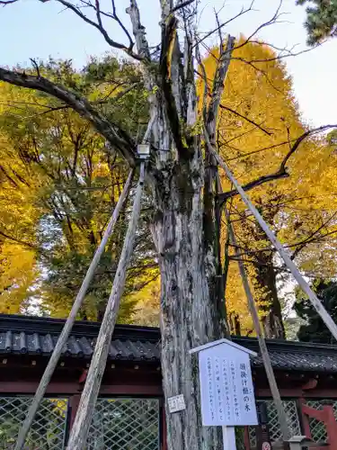 根津神社(東京都)