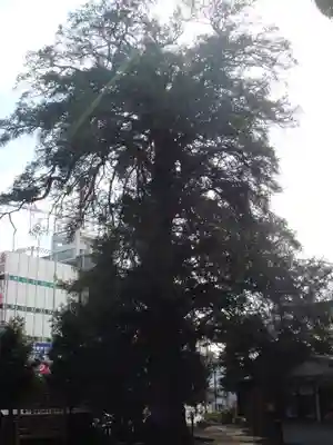 瀬戸神社の自然