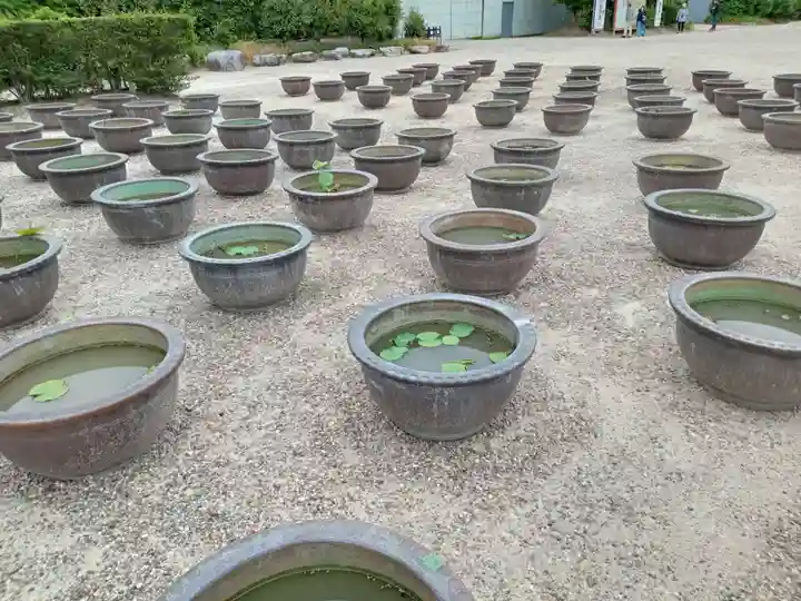 薬師寺(奈良県)