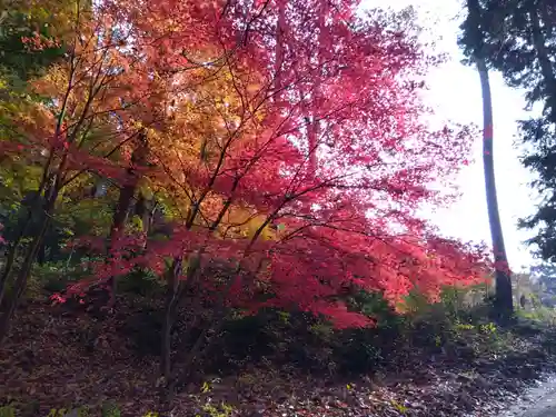 鶏足寺(滋賀県)