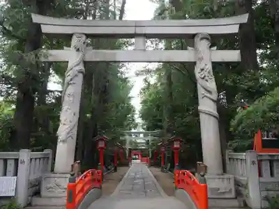 馬橋稲荷神社の鳥居