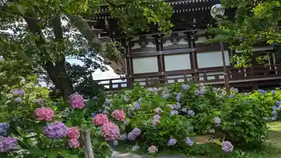  智積院(京都府)