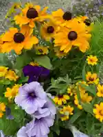 彌都加伎神社の自然