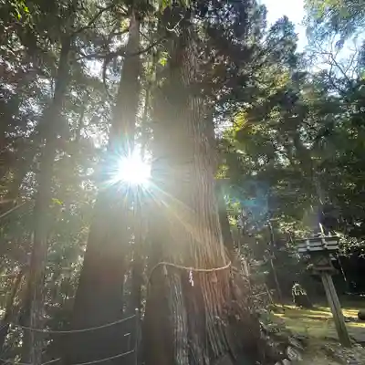 大馬神社(三重県)
