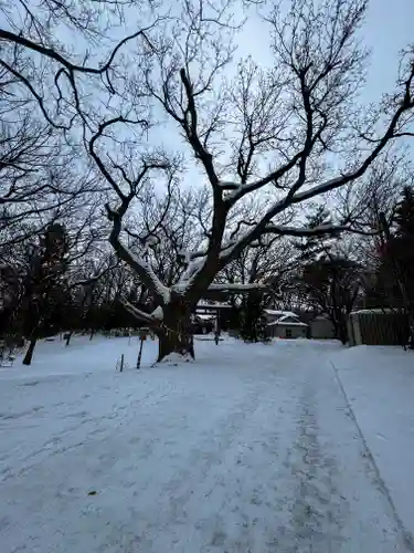 相馬神社(北海道)