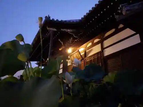 善導寺(福島県)