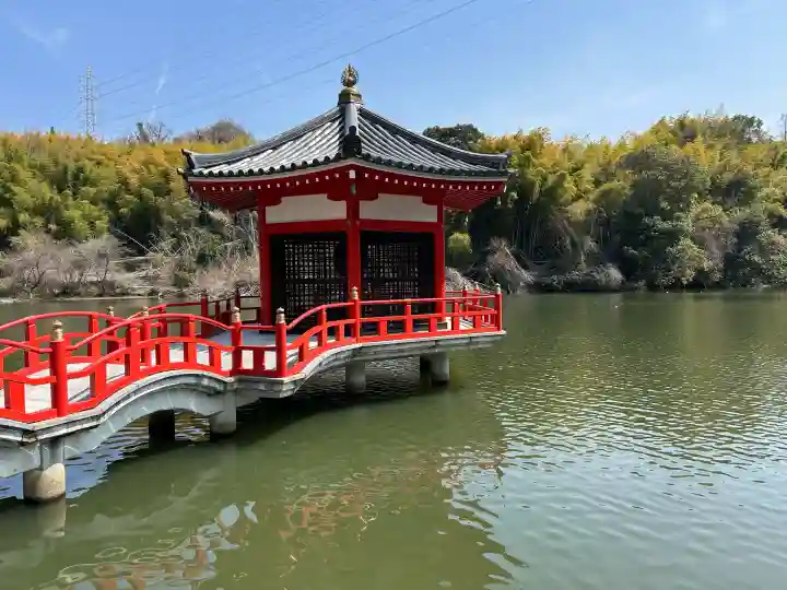 安養寺の{uncategorized: "未分類", other: "その他", undefined: "問題あり", building: "その他建物", grave: "お墓", sacred_gate: "鳥居", guardian: "狛犬", statue: "像", buddha: "仏像", history: "歴史", nature: "自然", garden: "庭園", animal: "動物", pagoda: "塔", temizu: "手水舎", mountain_gate: "山門・神門", sanctuary: "本殿・本堂", subordinate: "末社・摂社", art: "芸術", scenery: "景色", jizo: "地蔵", ema: "絵馬", goshuin: "御朱印", omikuji: "おみくじ", items: "授与品その他", amulet: "お守り", goshuincho: "御朱印帳", eats: "食事", festival: "お祭り", votive_dance: "神楽", shichigosan: "七五三参", wedding: "結婚式", experience: "体験その他", initially: "初詣", around: "周辺", anti_infection: "感染症対策"}