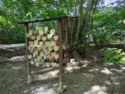 帯廣神社の絵馬