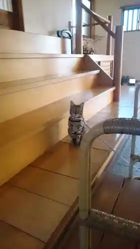 長専院不動寺(出世不動尊)の動物