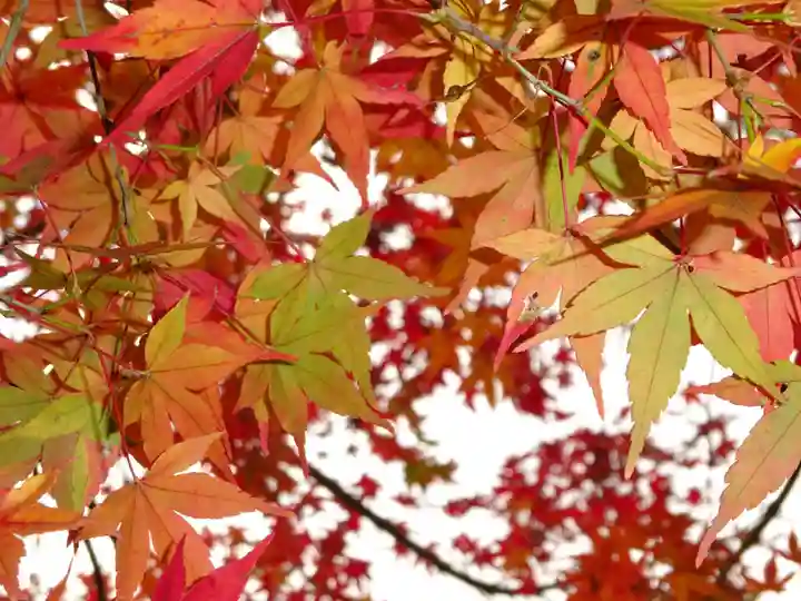 常泉寺(神奈川県)