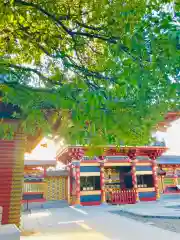 大杉神社(茨城県)