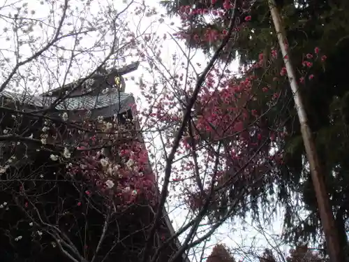 常陸第三宮　吉田神社(茨城県)
