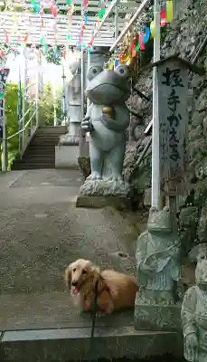 正法寺の{uncategorized: "未分類", other: "その他", undefined: "問題あり", building: "その他建物", grave: "お墓", sacred_gate: "鳥居", guardian: "狛犬", statue: "像", buddha: "仏像", history: "歴史", nature: "自然", garden: "庭園", animal: "動物", pagoda: "塔", temizu: "手水舎", mountain_gate: "山門・神門", sanctuary: "本殿・本堂", subordinate: "末社・摂社", art: "芸術", scenery: "景色", jizo: "地蔵", ema: "絵馬", goshuin: "御朱印", omikuji: "おみくじ", items: "授与品その他", amulet: "お守り", goshuincho: "御朱印帳", eats: "食事", festival: "お祭り", votive_dance: "神楽", shichigosan: "七五三参", wedding: "結婚式", experience: "体験その他", initially: "初詣", around: "周辺", anti_infection: "感染症対策"}